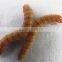 High protein dried 2.8cm mealworm chicken feed, mealworm organic fish feed