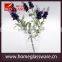 glass planter pot Container Water Plant Herb