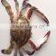 Frozen Whole Round Swimming Crab