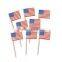 Flag Toothpick & Cupcake Topper