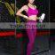 Ladies Sport Bra With Beautiful Colors