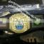 MMA championship belt