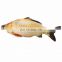 The simulation of printing fish toys accept custom printing fish pillow Factory directly