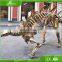 KAWAH High Quality Life Size Dinosaur Skeleton Model For Exhibition