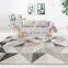 Amazon Hot Mink Carpet and Rugs Carpet for Living Room