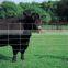 Hot sale galvanized steel wire hinge joint farm field fence for animal