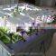 Architectural villa 3d rendering model , 3d printing of building model