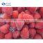 BRC Approved Factory of Frozen Strawberry IQF