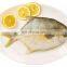 Wholesale golden pompano Frozen Golden Pompano Fish golden pomfret Trachinotus Ovatus