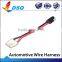 Automotive Wire Cable Harness For Car Headlight