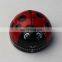 Small Kitchen Timer,Ladybug Kitchen Timer