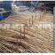 wholesale  synthetic weaves furniture rattan cane craft sillas de sticks natural cane  raw material rattan core