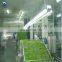 Frozen Vegetable Production Line Frozen Sweet Corn Strawberry Green Peas IQF Quick Freezing Machine