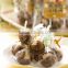Taiwan Made Unique Souvenir Gift Delicious Brown Sugar Lollipop