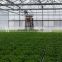 Agriculture Green House Suppliers In Middle East                        
                                                Quality Choice