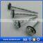 concrete nails best price made in China, galvanized grooved ss nails