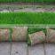 mini 10 rows 6 rows rice transplanter and prices