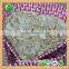 China,Inner Mongolia,2015,Benefif of Lady Nail Shine Skin Pumpkin Seeds 10,11mm