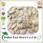 2015 Shine Skin Pumpkin Seeds