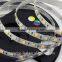 10w addressable rgbw led strip,waterproof led strip in China