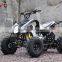 250cc Super ATV KLX Style ATV 250cc Quad Bike ATV 4 wheeler with CE QWMOTO