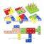 Wooden Intelligent Geometry Puzzle Blocks