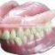 Nobiltone Self-Cured Denture Base Powder