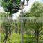 MHL or HPS illuminant 70-250W post lamp with IP54