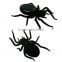 Solar Spider Tarantula Educational Robot Scary Insect