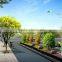 20m Landscape monopole tower(lamp)
