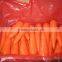 2015 New cropf of M L size fresh carrots hot supplying