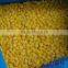 BRC,KOSHER,HALAL frozen fruits