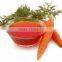 bulk fresh carrot seed oil for skin lightening products