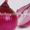 China Red Onion of High Quality & Competitive Price & Best Taste