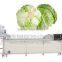 Cabbage Dicing And Washing Production Line, Vegetable Cutter And Washer Line Machine, Mob/Whatsapp: +86 18281862307(May Liao)