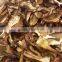 Delicious dried yellow boletus price