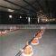 automatic chicken poultry equipment