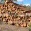 Professional wood hammer mill