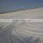 high quality continuous filament polyester nonwoven geotextile 400gsm