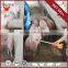 Yonggao Farming Best Quality CE Certification Animal Electric Shocker