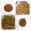 twin screw Cat food/Pet food process line from jinan dayi machine