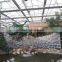 Large Garden Design Glass Covered Commercial Greenhouse For Vacational Village