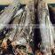 High Quality Frozen Fish Black Blue Marlin