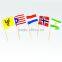 Hot selling customized printing mexican flag
