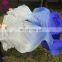 P-9076 Hot sale performance 100% silk multy colors 1.5/1.8m long belly dance fan veil