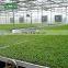 Commercial Agricultural Planting Grow Nursery Bed