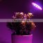 Small AC220V 36W E27 Par Full Spectrum Led Plant Flower Grow Bulb Light