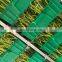 No soil cultivate Hydroponics Garlic Sprouting Machine