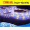 best brand popular 2.5m/roll 12v led strip light