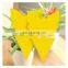 Fruit Fly Gnat Trap Hot Disposable Glue Trappers Indoor Outdoor Use Insect Catcher Dual-sided Yellow Sticky Trap